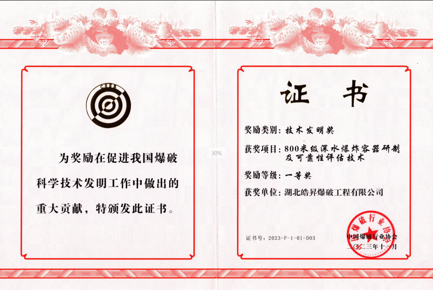 技術(shù)發(fā)明一等獎(jiǎng)